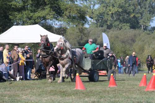 DSC_9100